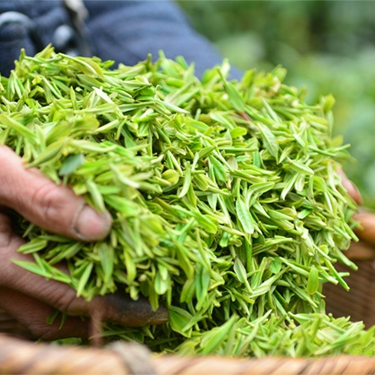 富硒野茶——紅盒禮裝